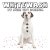Whitewash by Auke Van Dokkum